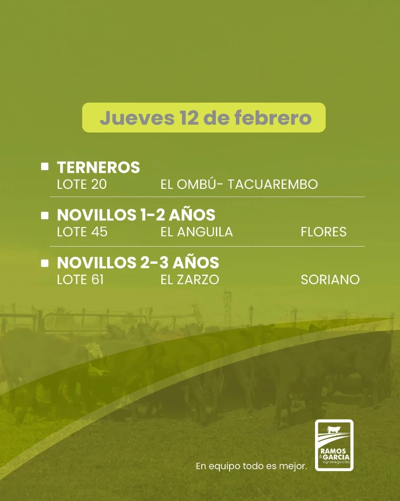 WhatsApp Image 2026-02-11 at 12.20.14 (1).webp