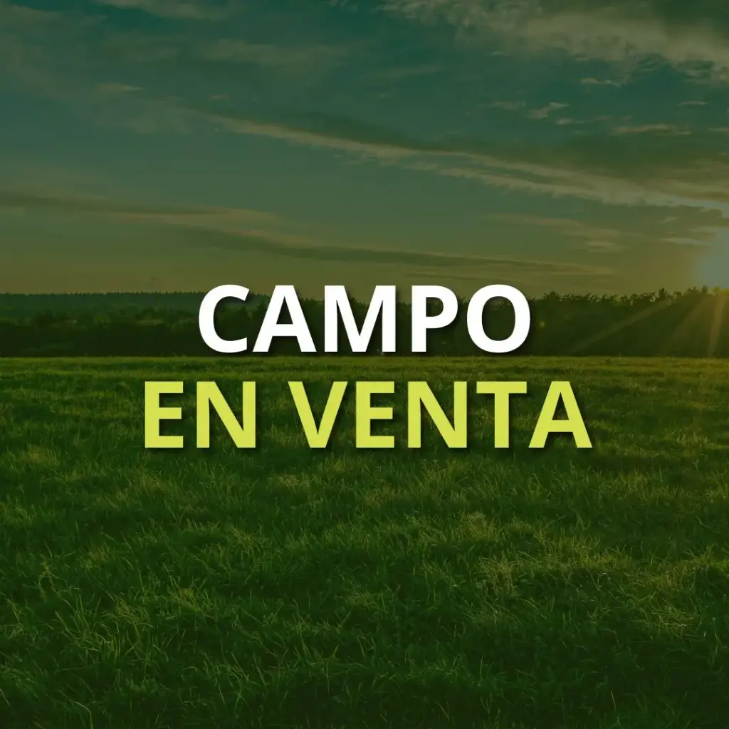Campo agrícola 200 hectáreas - a 30 minutos de Salto