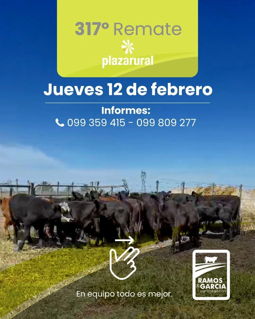 Remate 317 Plaza Rural